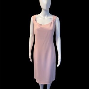 Kasper Women’s Tutu Pink Sheath Dress
